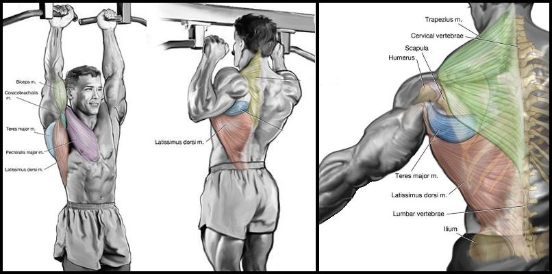 Close Grip Pull-Up Isometrics