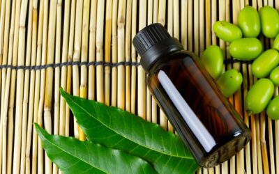 Neem Oil for Hair : Benefits, Side Effects and How to Use