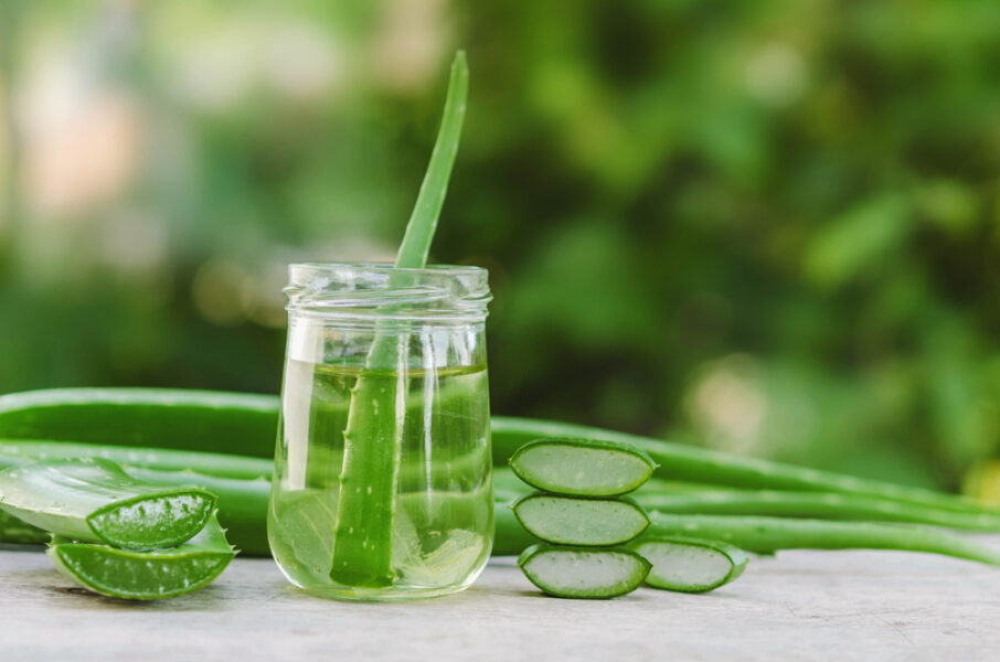 Aloe Vera for Dandruff