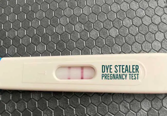 Dye Stealer Pregnancy Test