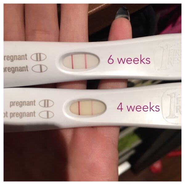 Dye Stealer Pregnancy Test 6 Weeks