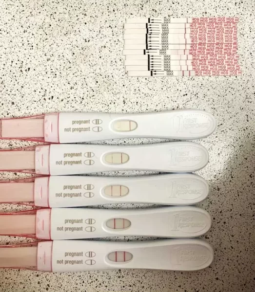 Dye Stealer Pregnancy Test What is it and How Does it Work?