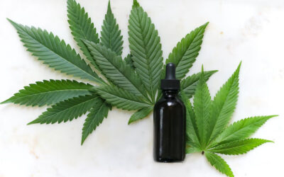 Things To Check On The Label Of Your CBD Products