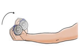 Wrist Flexion Stretch