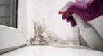 10 warning signs of mold toxicity