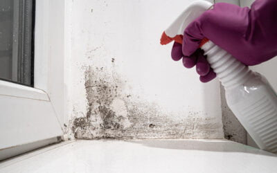 10 warning signs of mold toxicity