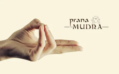 Prana Mudra