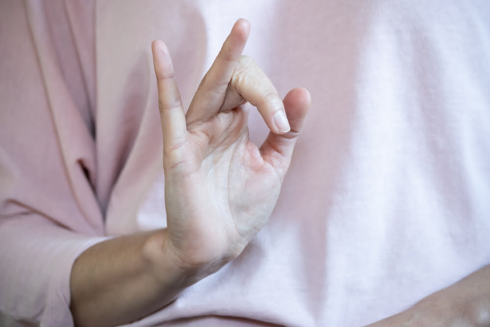 Vishnu Mudra