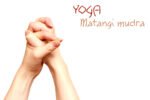 Matangi Mudra: Benefits, Side Effects, How To Do And Precautions