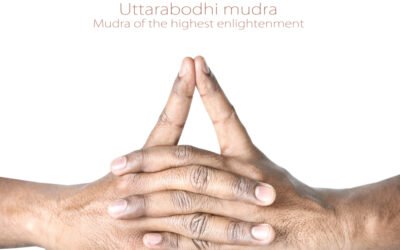 Uttarabodhi Mudra: Origin, Benefits, Side Effects And How To Do