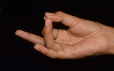 Rudra Mudra