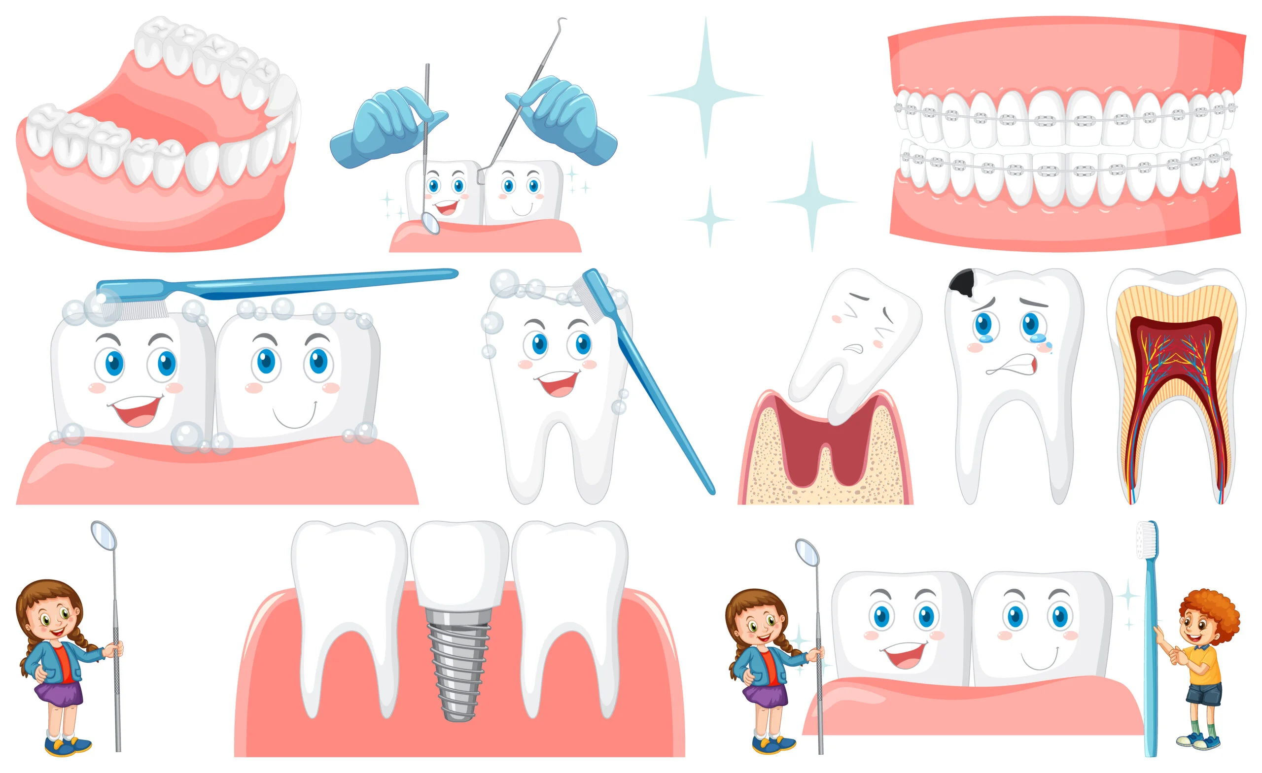 Are Teeth Bone: Know From Experts