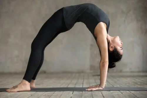 Upward Bow Pose Yoga scaled