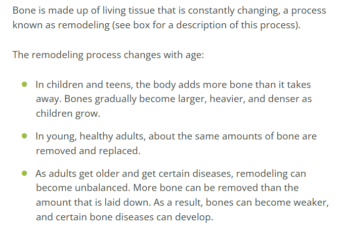 Are Teeth Bone: Know From Experts 3 study on bone
