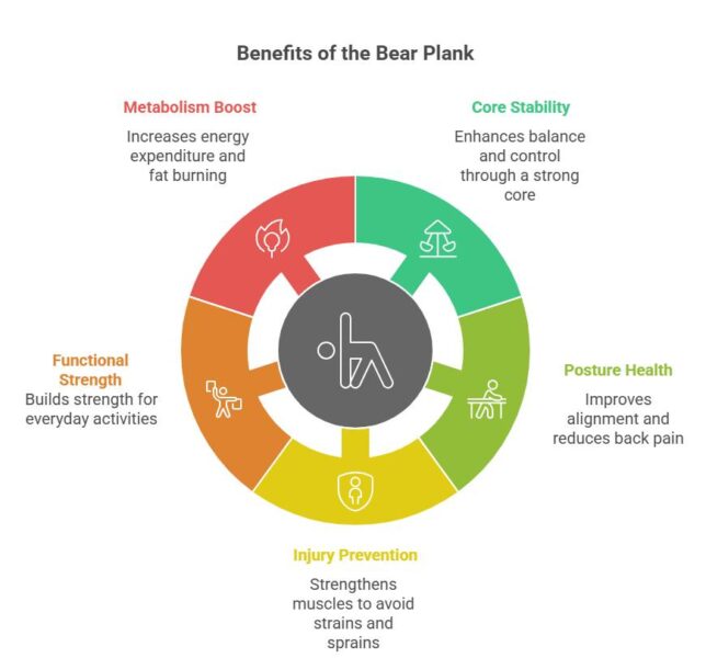 Benefits of the Bear Plank