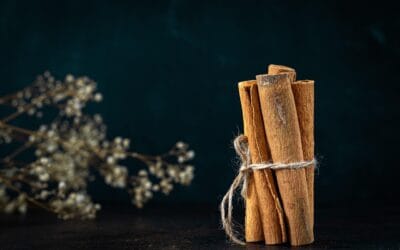 Can Cinnamon Cause a Miscarriage? A Scientific and Practical Perspective Can Cinnamon Cause a Miscarriage? A Scientific and Practical Perspective