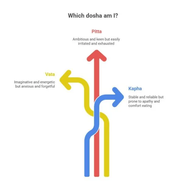 Understanding the Doshas info