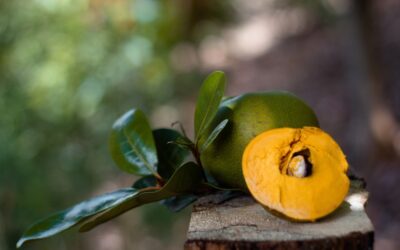 How I Discovered the Golden Lucuma Fruit — and Why It’s Now a Staple in My Kitchen