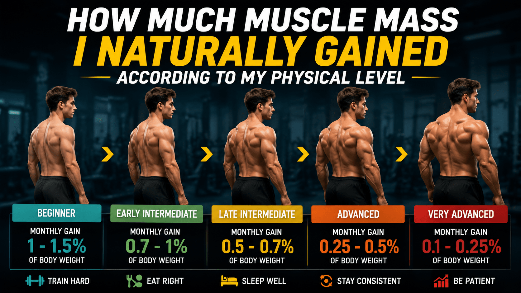 How Much Muscle Mass I Naturally Gained According to My Physical Level